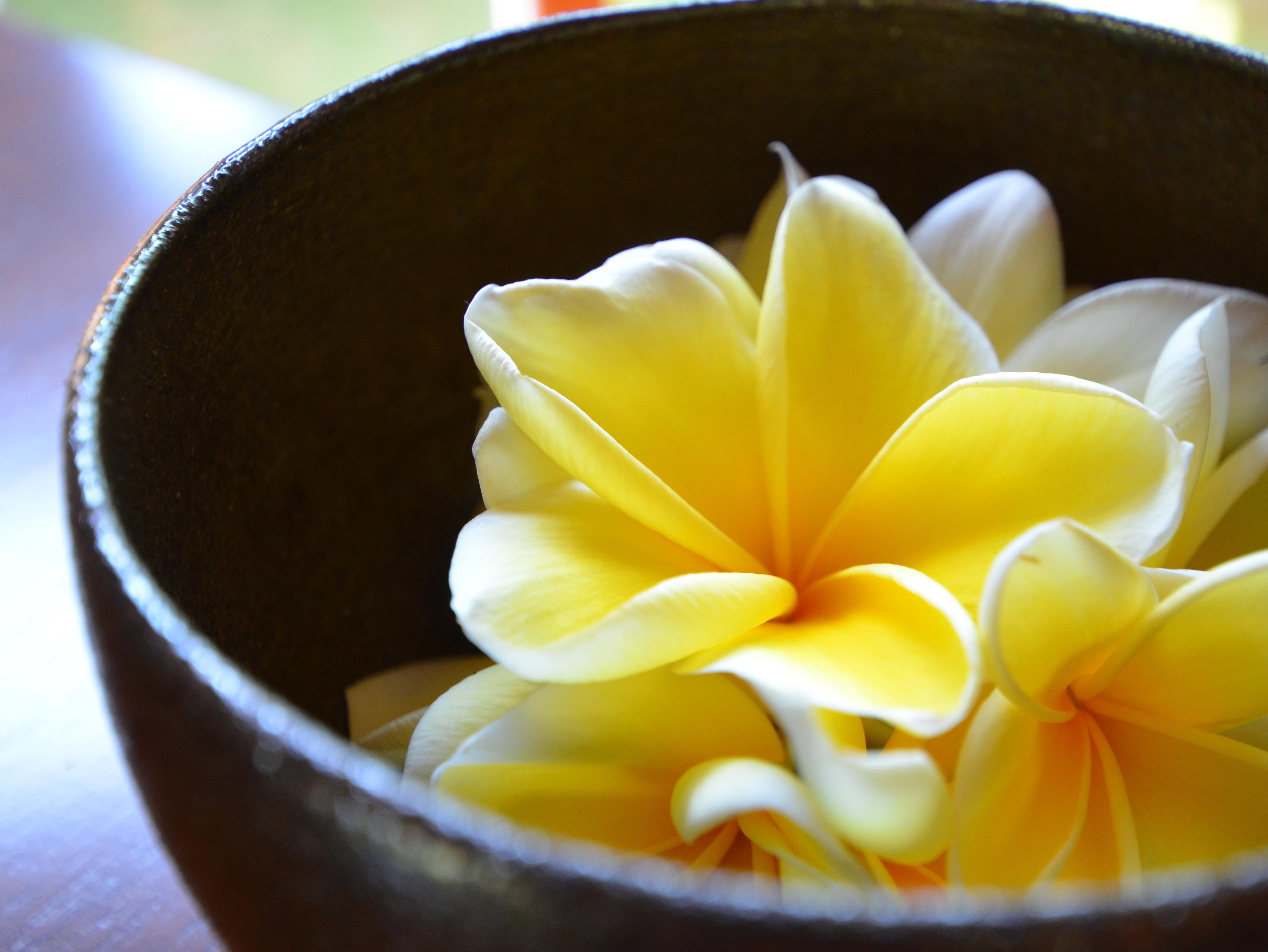 The Ulin Villas And Spa - By Karaniya Experience - Chse Certified Seminyak Dış mekan fotoğraf